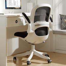 ������X�ΌW���ΌW�������w���W��늸��Ε������k������