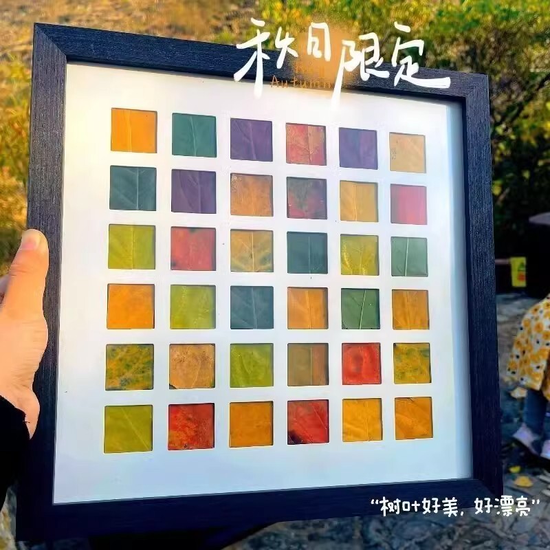 Fallen Leaves Photo Frame Multi-specification Leaf Specimen diy Picking up Autumn 48 Palace Lattice Autumn Lattice Leaf Frame Collection Handmade