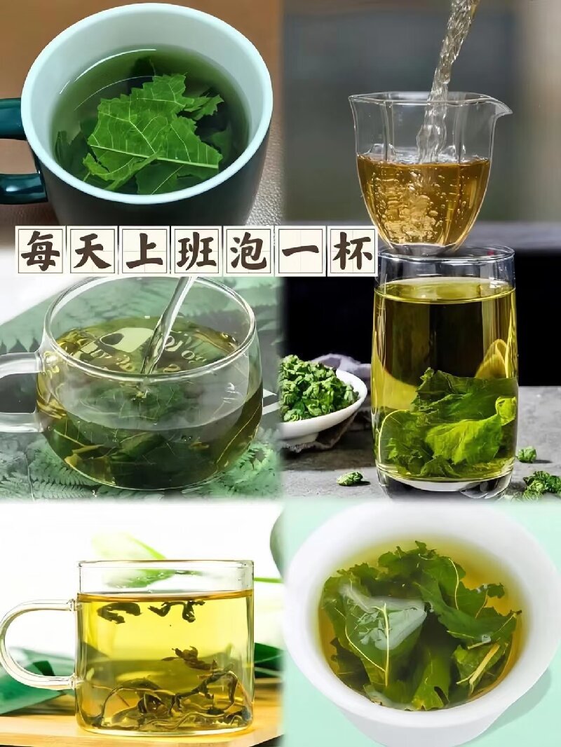 Frost-Touched Mulberry Leaf Tea (Morus alba) — Dried Mulberry Leaf for Herbal Infusion key features
