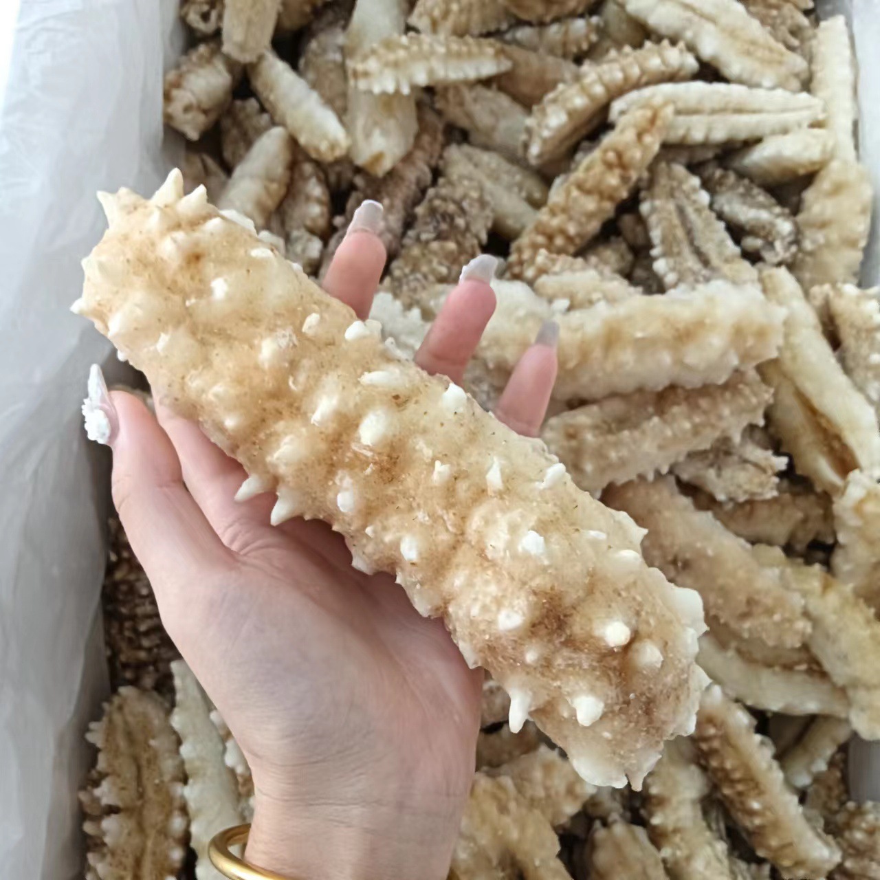 微信圖片_202209191025392