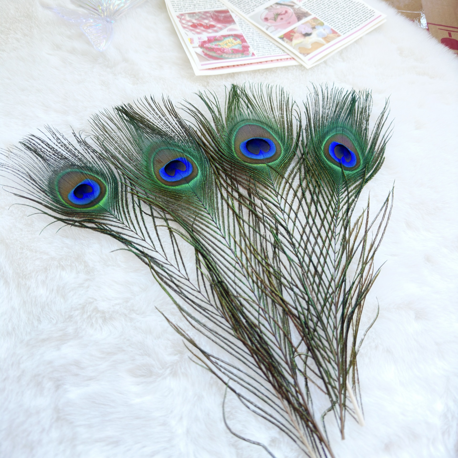 微信图片_20250110103534