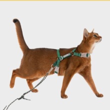 ����̽��؈�ر������b���{�������η���Ó؈�䠿���K����