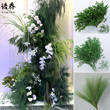 ��cɭϵ�Gɫ���ķ���Gֲ�Y�þƵ��b�����ٻ��廨�����b���