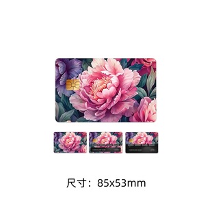 �羳���ÿ��N����ӛ����ͨ�����Ի��y�п����η�����ˮ�N��