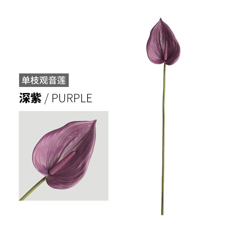 다크 퍼플 보라색