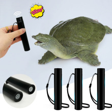 2024������~���چ����~���^���Ӵ��M����~�����ڼ��~���o������