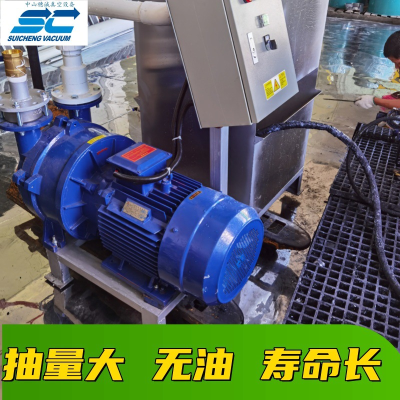 2BV5161水环真空泵 真空度高水环真空机 抽气量大无油 穗诚