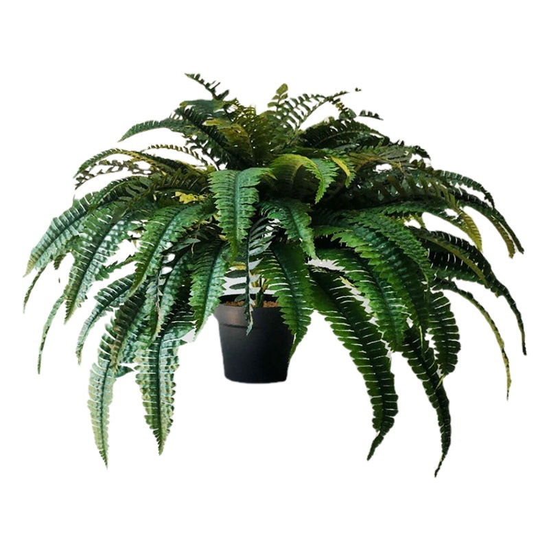 88 Leaf Persian Grass Home Decoration Wall High Simulation Fern Persian Grass Cross-border Hot-selling Set Decoration
