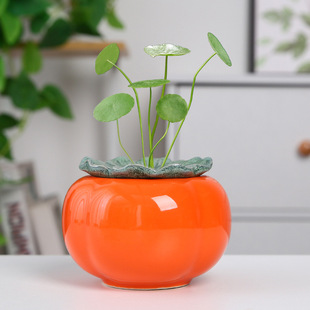 Persimmon Ruyi Persimmon Hydroponic Pot Green Diet Hydroponic Plant Vase Household Desktop Flower Ornaments Indoor Green Plant Pot