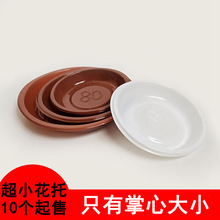 ��С��̖�A���бP��С���ϻ�������������ֲ��С���Խ�ˮ��ˮ�P