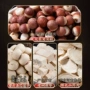 儿童山楂原料太子参