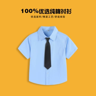 儿童短袖蓝色100%纯棉衬衫男童夏薄短袖蓝色演出服上衣表演小学生