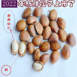 其他药食同源;黄芪;淫羊藿