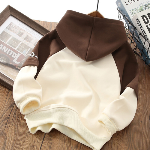Children's Hooded Sweatshirt  Autumn/Winter New Color-blocked Sweatshirt Boys' Sport Top Long Sleeve Letter Hoodie