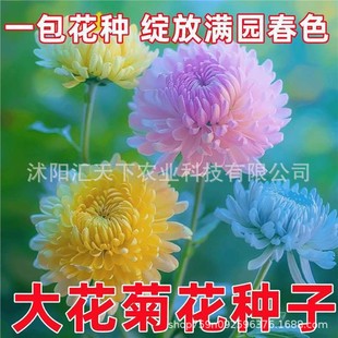 �󻨾ջ��N���ͺ������̓������＾�÷N�Gֲ�G���̨ͥԺ�r���N��