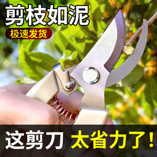 ���P䓘�֦��֦����ժˮ����ľ������֦�޽ӈ@ˇ�������߈@ˇ����
