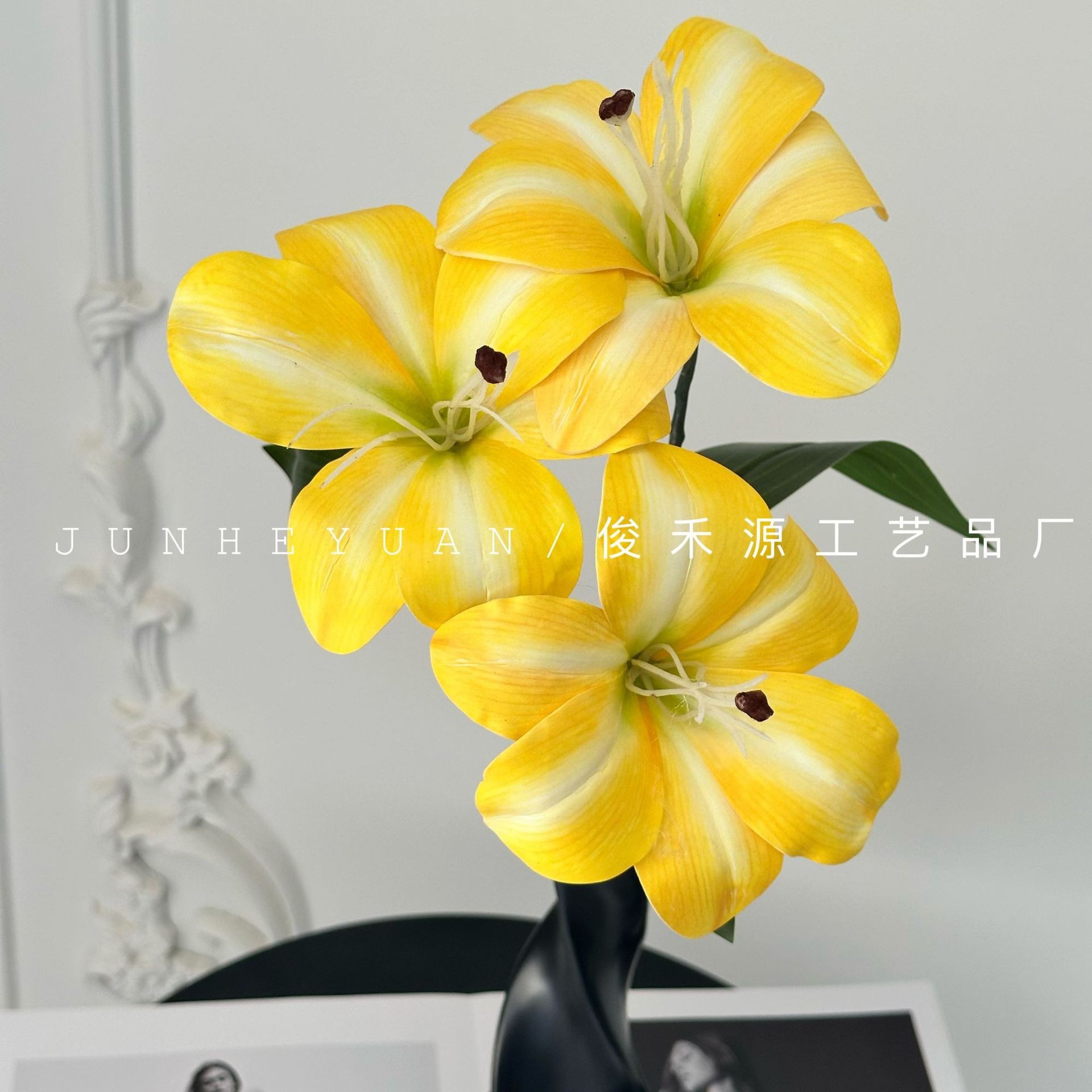 헤메로칼리스 백합