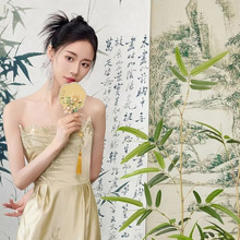 ����ʽˮī���첼�l���Y��鷿Ů�������Ĕz�������L�b͏d��