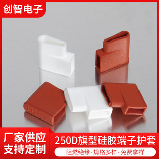 250D���͹��z�����o�׽^����ɫ��ȼ�����z�o���^750���Ɵ�z