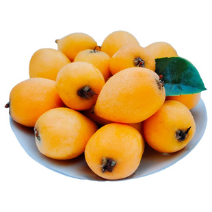 ��������������rˮ�����˰��]�a��ֱ�l�������һ�����l