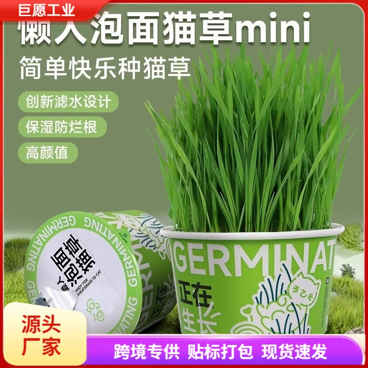 Ленивый лапша быстрого приготовления кошачья трава в горшках Посадка гидропонная кошачья трава чашка кошачья трава семена кошачьей мяты
