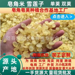 Sapgorn Rice Lotus Lotus Seed Single Pod Double Pod имеет собственное заводское происхождение в первых источниках акций, большое количество точечных оптовых, оптовых