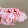3#Silver Needle-Pink