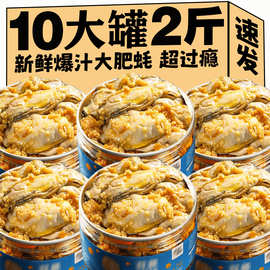 蒜蓉生蚝肉罐头即食麻辣海蛎子海鲜熟食罐装网红零食小吃下饭酒菜