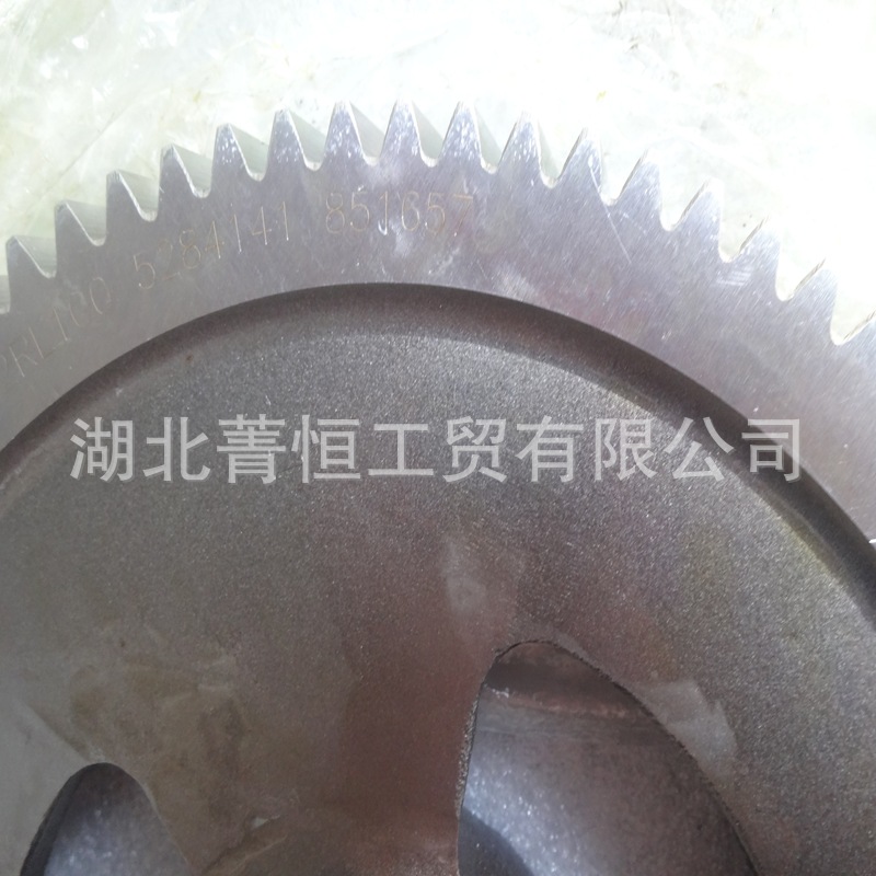 Cummins Isle Engine Camshaft Gear 5284141