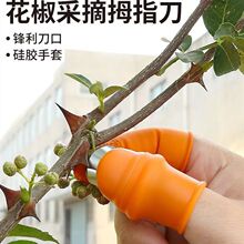 �ǰ����~�������������������������r���ߓ�������ָ��ժ��Ĵָ��