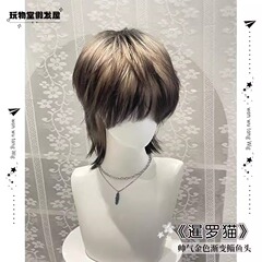 クロスボーダーウィッグ 男性用 シャム猫 ゴールデングラデーション ウルフテール マグロヘッド 自然でハンサムなリアルな男性用フルウィッグ