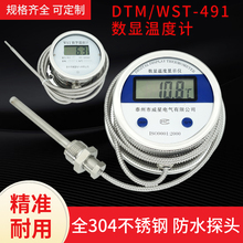 数显温度计带探头WST/DTM491带线高精度耐酸防水数字工业测水温表