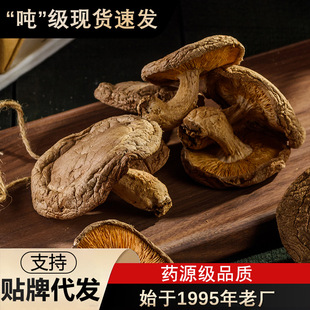 �cԪ�خa�L�ȴ󹽸�؛�o��ʳ�Ĵ��㹽��������ʳ�þ���Ģ�����l