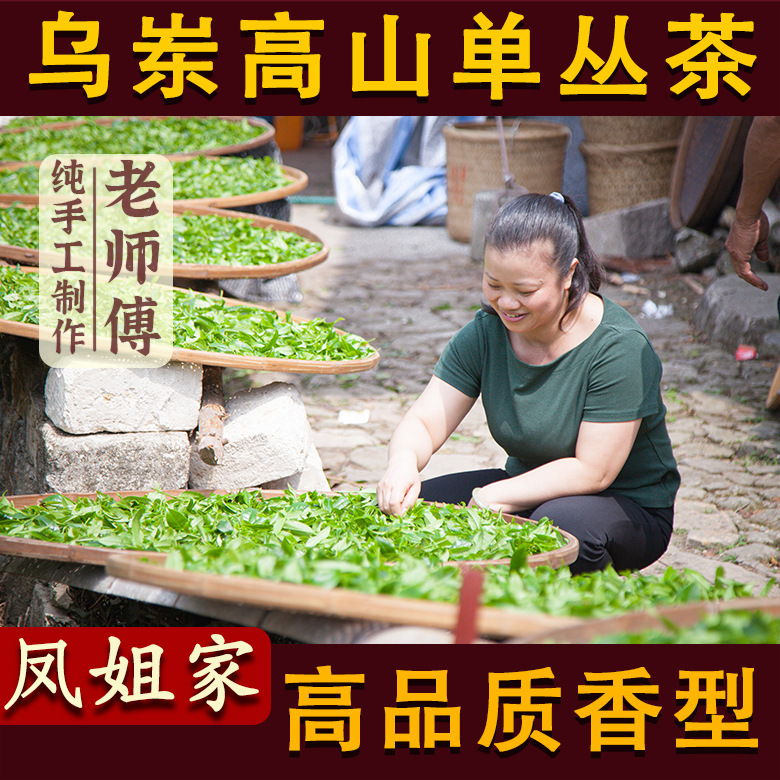 [Sister Feng's tea] wumi mountain single cluster tea new tea spring tea Phoenix duck shit fragrant single fir tea Oolong Tea
