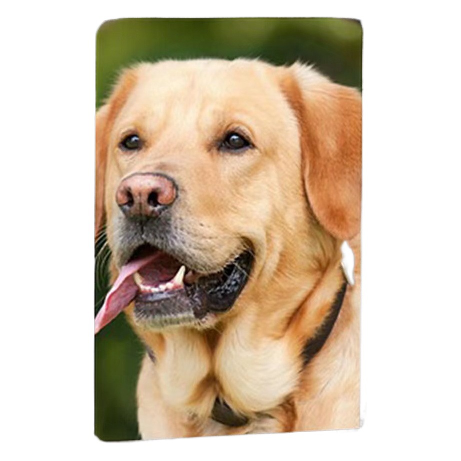 Cross-border en stock negro vida árbol cinerario ataúd madera maciza mascota Memorial cinerario ataúd con marco de Fotos Perro funeral caja