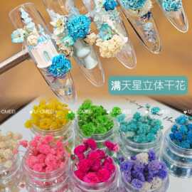 美甲立体干花素材INS风美甲满天星小干花美甲饰品装饰花苞整朵