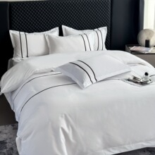 2025�¿��p����120g�Ƶ��e�^���޴�����Ʒ�ļ���