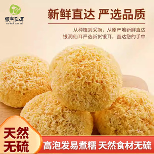 ���ﾫ�x����y��250gɢ�b�S�����ľ��Ŵ��ѩ����؛���l�S��ֱ��