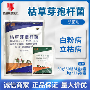 �����J��ݲ�ѿ�ߗU���˅����ݲ���ݮ�׷۲��������ɝ��Էۄ��rș