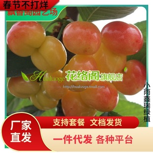 ��������t�������ϱ����NֲͥԺ���Լ޽��ش�܇�����̨����