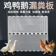 雞用漏糞板雞鴨鵝鴿禽類清糞地板養殖加厚塑料漏糞板網板雞舍地板