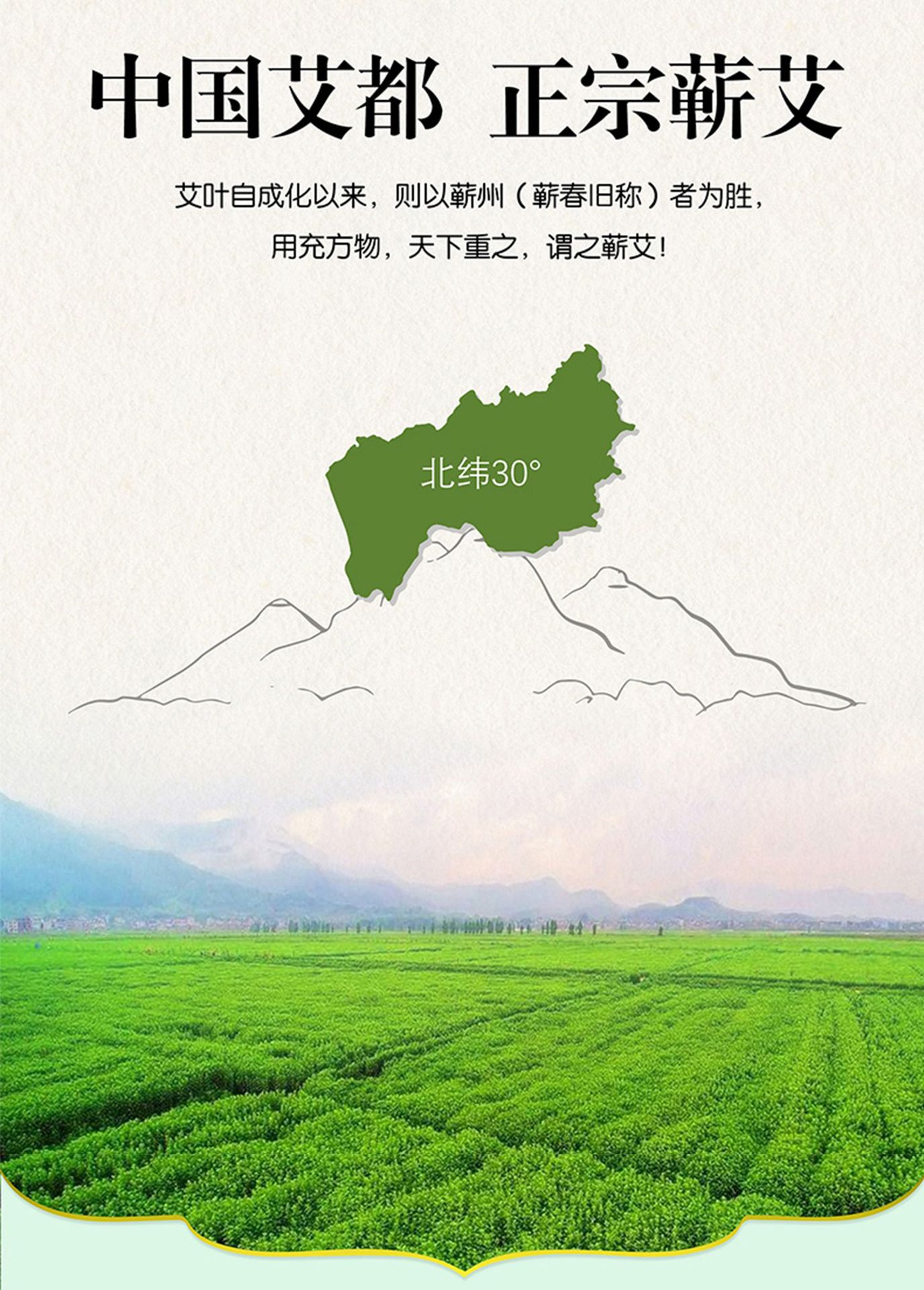 Qichun Mugwort Floss 250g Bag for Moxibustion Ai Rong specifications