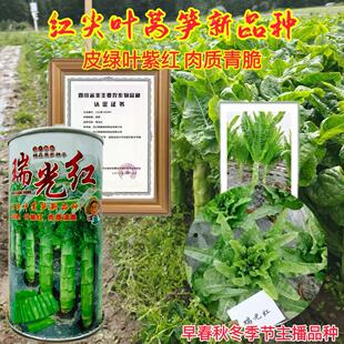 �N���߿����t�t���~���n�S�N���ͺ��͵͜��紺�ﶬ�����n�ķN��