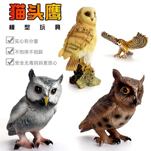 �����w�B�����w��؈�^��ģ��������z���Ĕ[����ͯ�J֪�����Y��