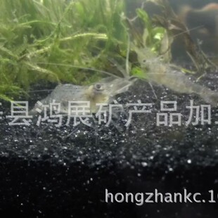 ���a�ӹ�������ɫ�ڽ�ɳ ��ɫ���w ���^�쾰��