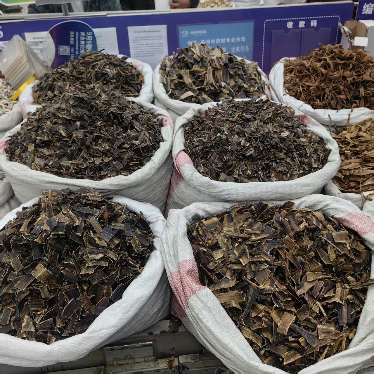 Dried Earthworm Di Long Slices Salt-Free Sand-Free Guangxi 2025 Harvest 500g Powder Option in use
