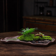 迎苔藓吸水石盆器盆景盆长方形菖蒲假山上水石水培紫砂陶瓷底
