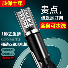 늄ӹ~[~ȫԄӹ~[Cȥ~[~[ٹ[