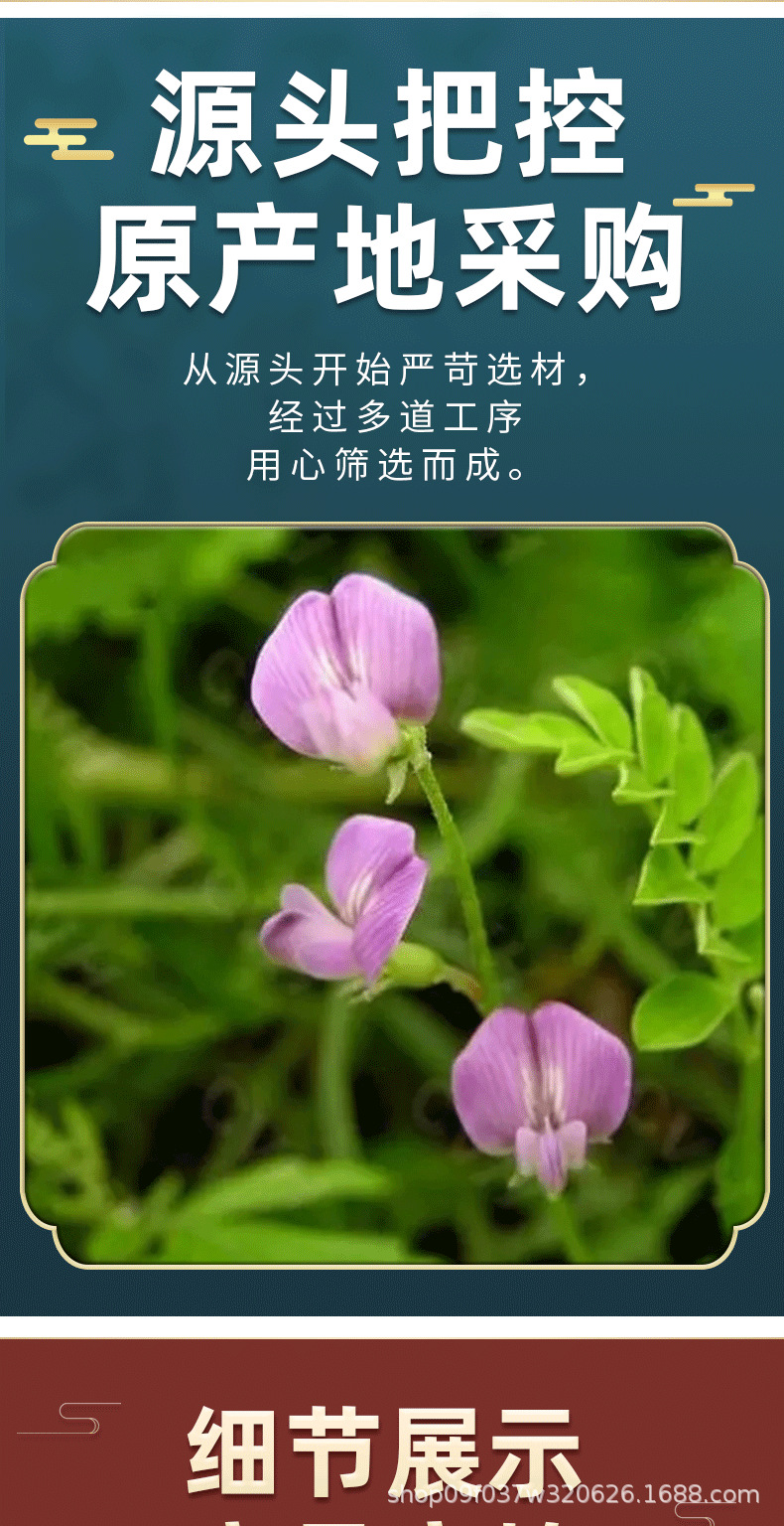 Sha Yuan Zi Astragalus Seed 500g Dried Herbal Tea Bulk Chinese Herb quality and texture