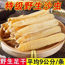 ��տ����ɳ��ɡ�����Ұ�����ɳ���ȥɳ�����Ʒɳ��ɺ����Ӹ�